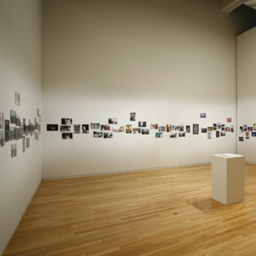 Interview with Seiichi Furuya:Trace Elements (Eng.)